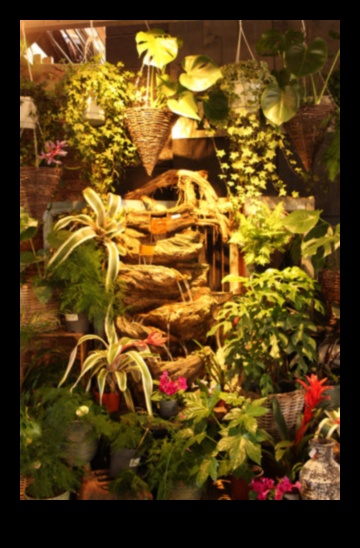 أحلام الغابة الداخلية: تصميم المساحات الخضراء المورقة في الداخل