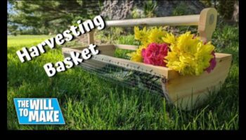 معرفة كيفية الحصاد: ورش عمل عملية للحديقة