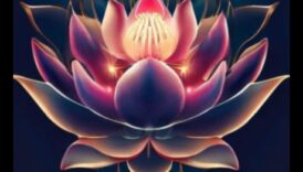 السحر الواعي: كشفت كيمياء التأمل