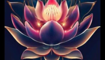 السحر الواعي: كشفت كيمياء التأمل