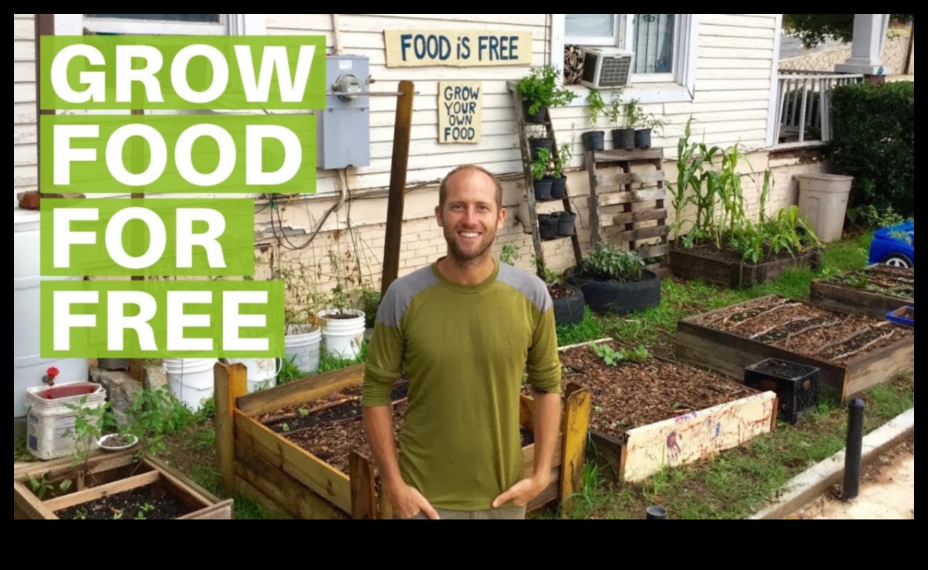 الجنة بحجم الجيب: البستنة الحضرية المبسطة