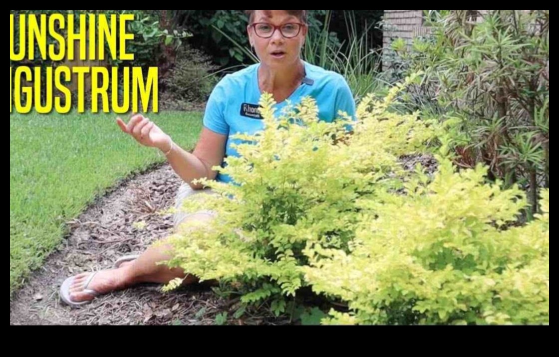 التألق على مدار العام: دليلك للصيانة المتسقة للحديقة