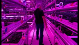 الحصاد اللانهائي: الدفيئة باونتي بيكونز