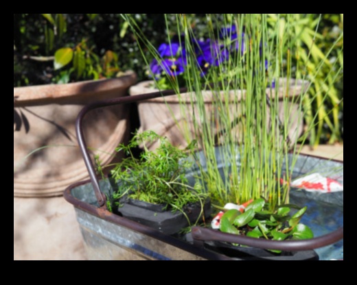 جنة صغيرة: عجائب المساحات الصغيرة مع البستنة الحاوية