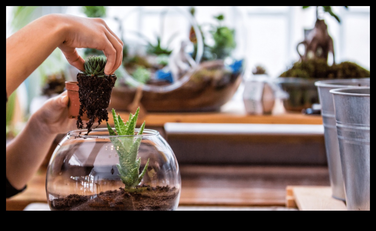 جنة صغيرة: عجائب المساحات الصغيرة مع البستنة الحاوية