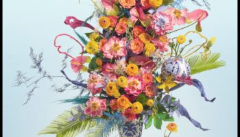 المخططات في بلوم: عجائب معمارية وضعت في بكسل