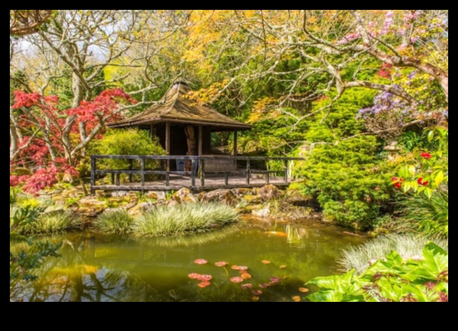 الخيزران والبونساي: كنوز الحديقة اليابانية