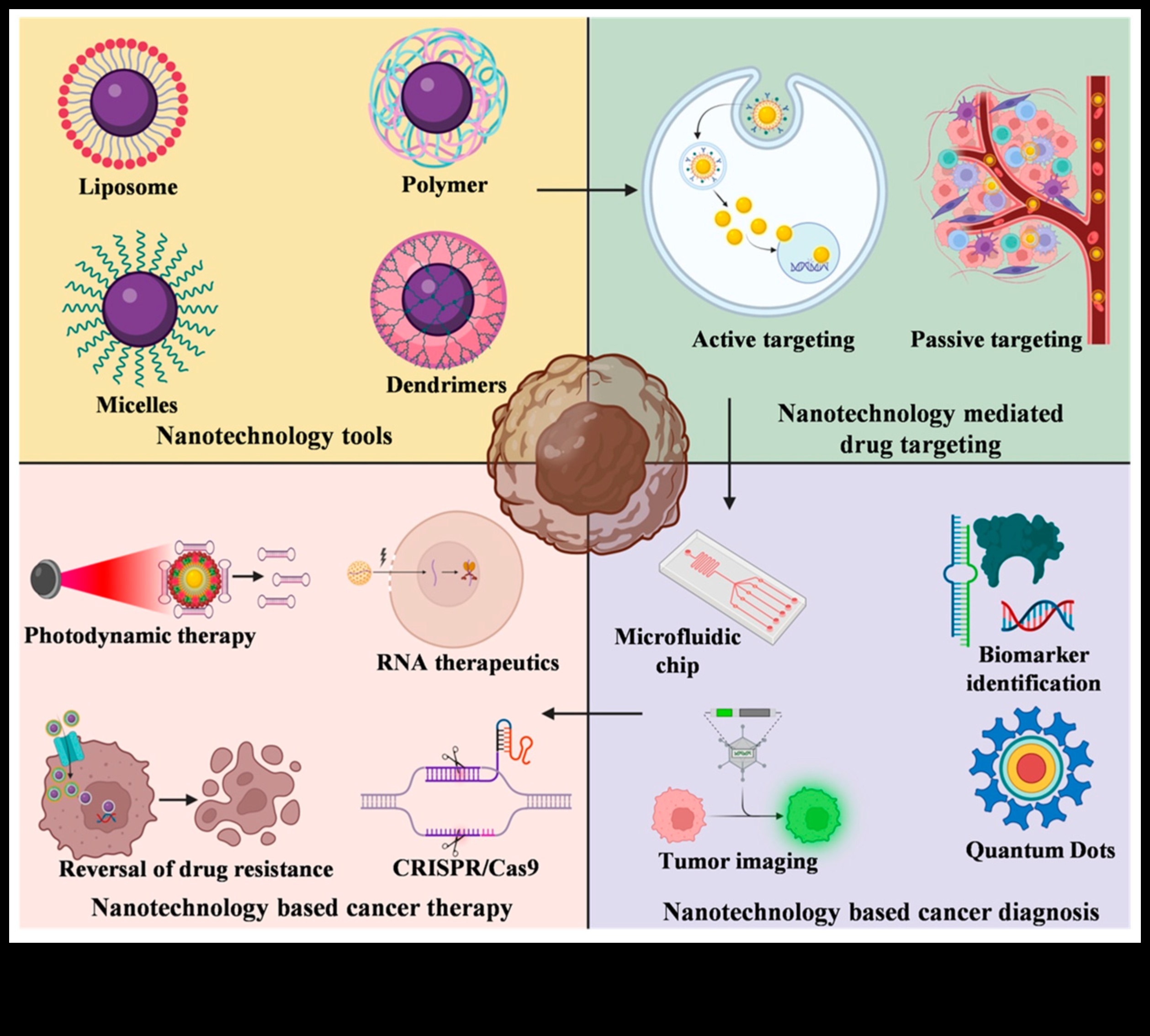 التصميم من أجل الدقة: سيكولوجية تكنولوجيا النانو التي تركز على المستخدم