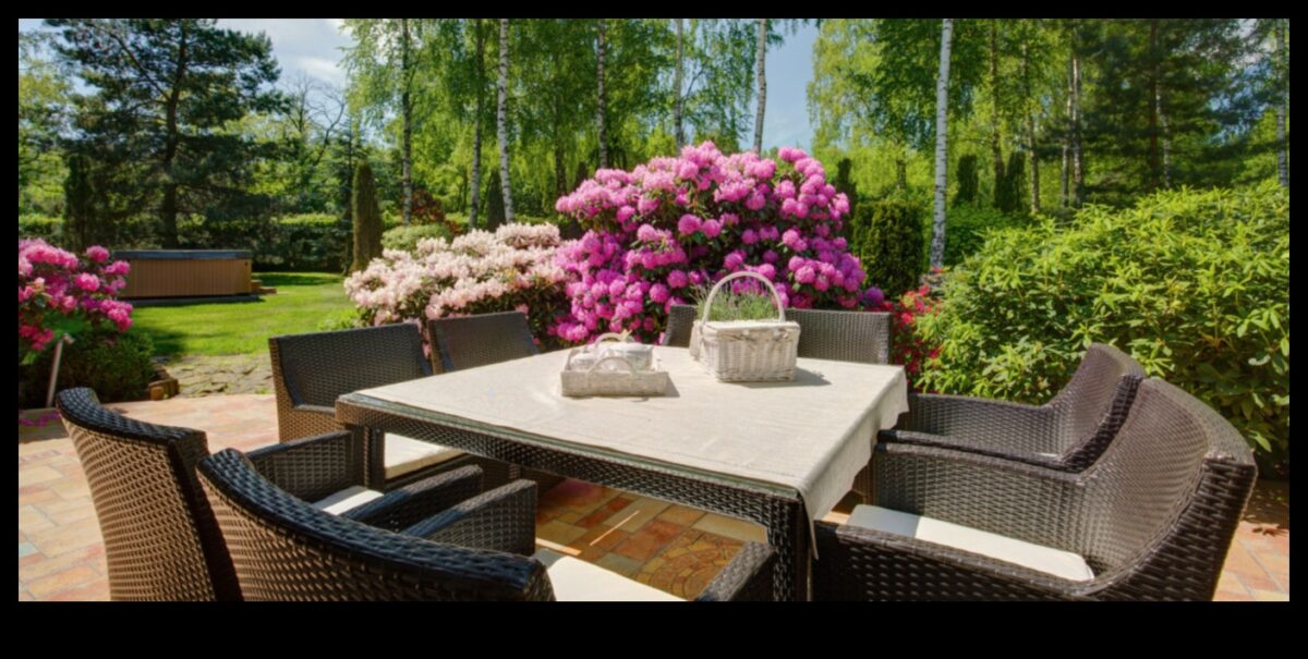 واحة أنيقة: تحولات تصميم الحدائق في انتظارك