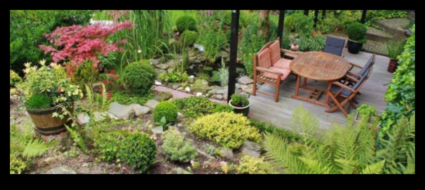 إتقان الزهرة: نصائح احترافية لواحة حديقة مذهلة