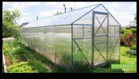 الأعاجيب الخضراء: ارفع مستوى حديقتك بمعدات من الطراز الأول