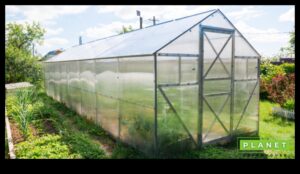 الأعاجيب الخضراء: ارفع مستوى حديقتك بمعدات من الطراز الأول