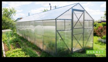 الأعاجيب الخضراء: ارفع مستوى حديقتك بمعدات من الطراز الأول