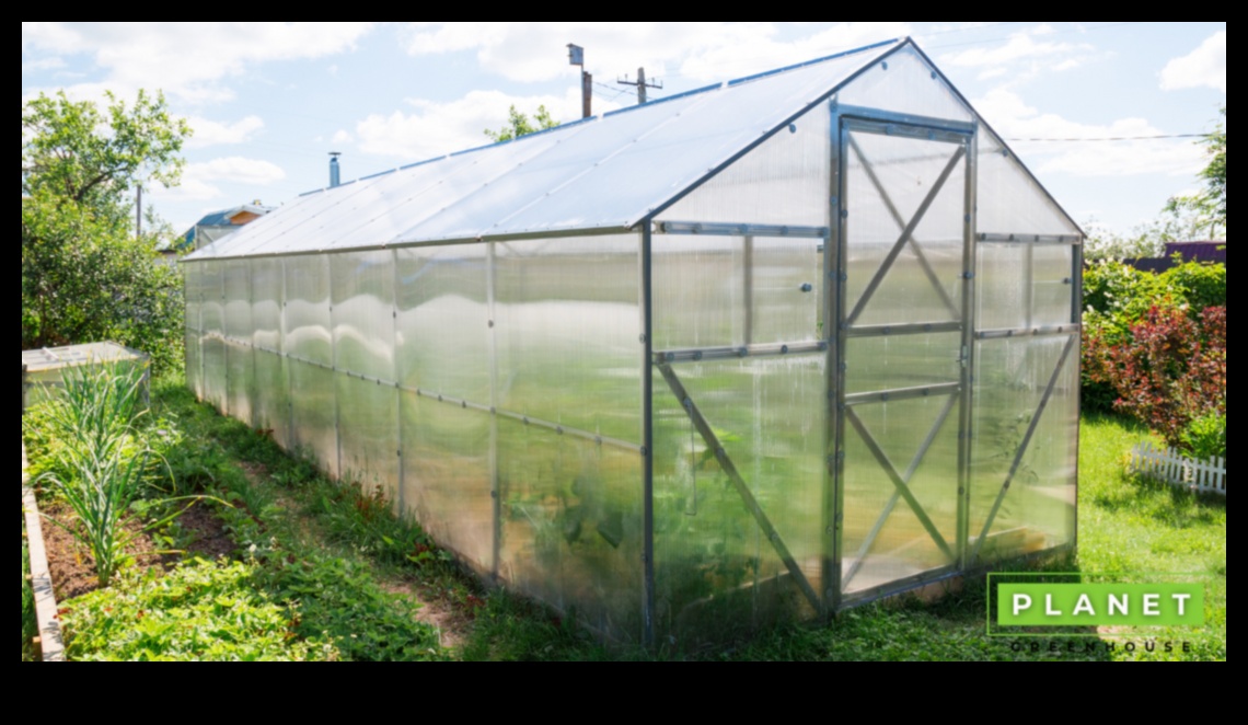 الأعاجيب الخضراء: ارفع مستوى حديقتك بمعدات من الطراز الأول