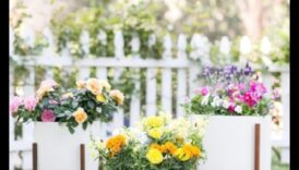 زهر في الأسلوب: تم ​​الكشف عن أفكار ديكور الحديقة العصرية