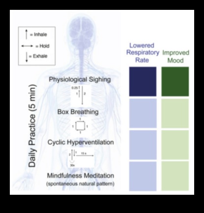 التنفس بسهولة: نهج يتمحور حول التنفس لتنمية تقنيات تخفيف التوتر