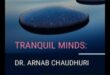 العقول الهادئة: الرحلة الداخلية اليومية إلى العافية العقلية
