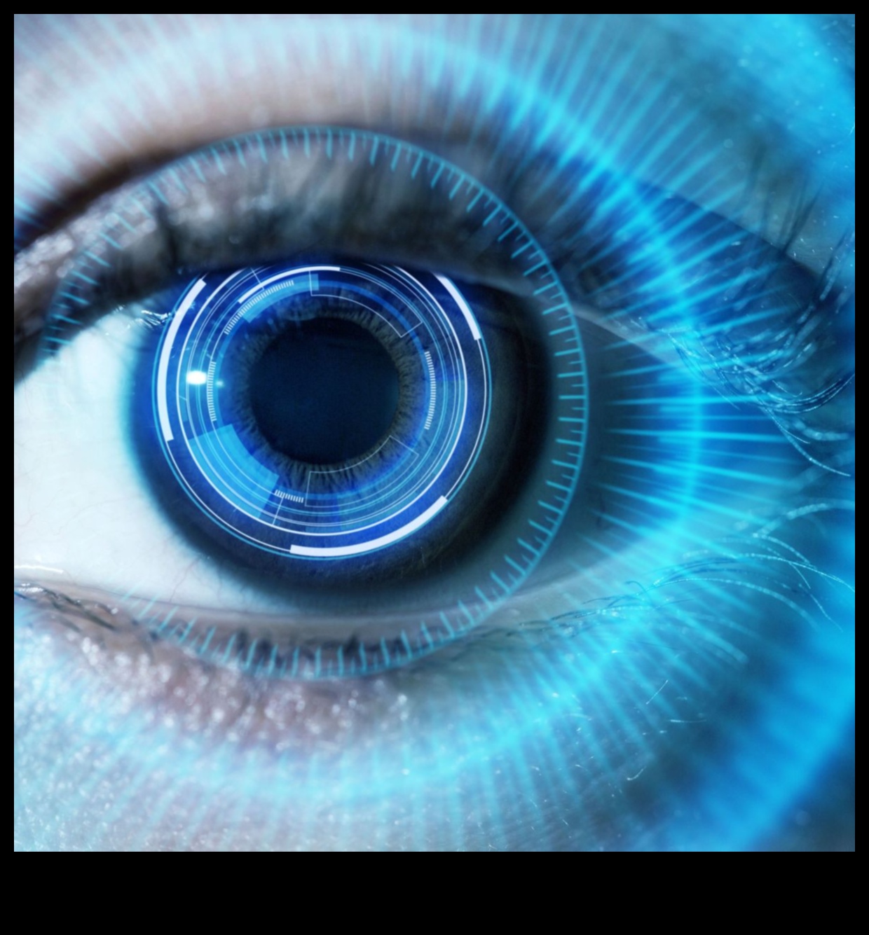 عجائب الزاوية الواسعة شاهد العالم بعيون جديدة 4 عجائب الزاوية الواسعة: استكشاف قوة العدسات المتميزة