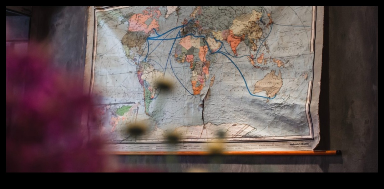 عجائب الزاوية الواسعة شاهد العالم بعيون جديدة 3 عجائب الزاوية الواسعة: استكشاف قوة العدسات المتميزة