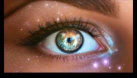 عجائب الزاوية الواسعة: استكشاف قوة العدسات المتميزة