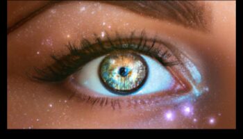 عجائب الزاوية الواسعة: استكشاف قوة العدسات المتميزة