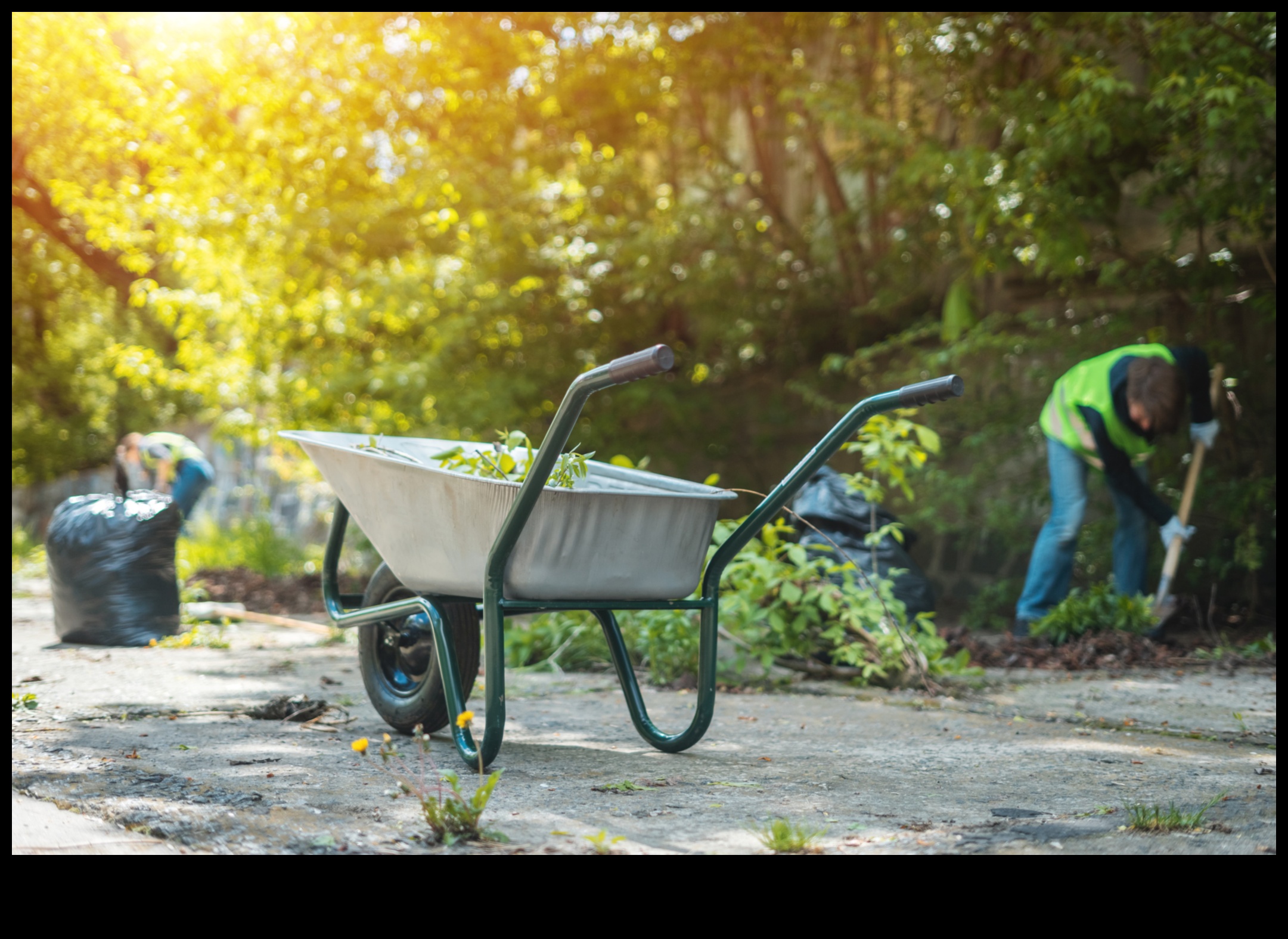 نحت واحتك: اكتشف قمة معدات الحدائق