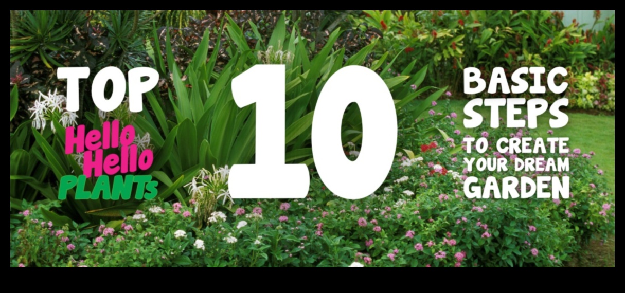 تصميم عدن: نصائح احترافية لصياغة حديقة أحلامك