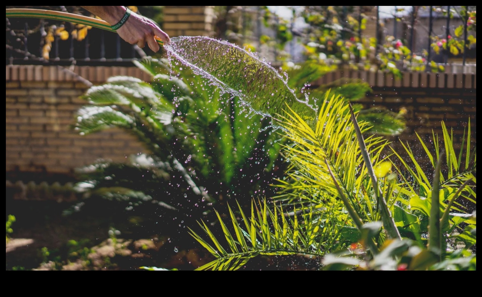 تصميم عدن: نصائح احترافية لصياغة حديقة أحلامك