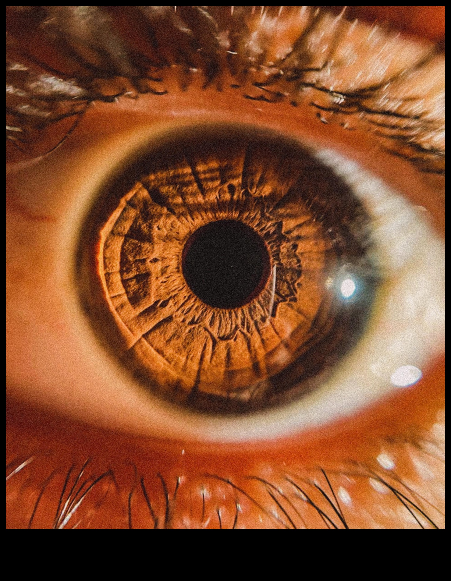 وجهات نظر معقدة: إتقان الحرفة الدقيقة للتصوير الماكرو