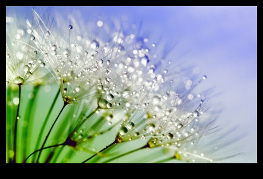 وجهات نظر معقدة: إتقان الحرفة الدقيقة للتصوير الماكرو