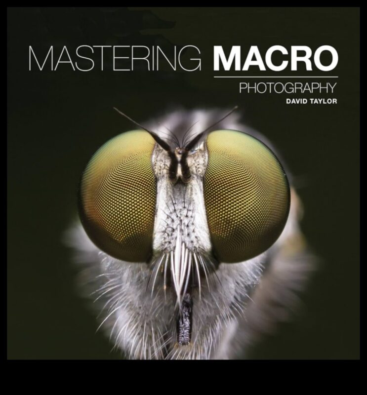 وجهات نظر معقدة: إتقان الحرفة الدقيقة للتصوير الماكرو