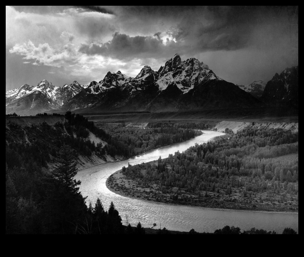 تأليف التألق: نصائح أساسية للحصول على صور مذهلة