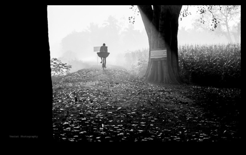 الأعجوبة البسيطة: أنماط التصوير الفوتوغرافي الجذابة في البساطة