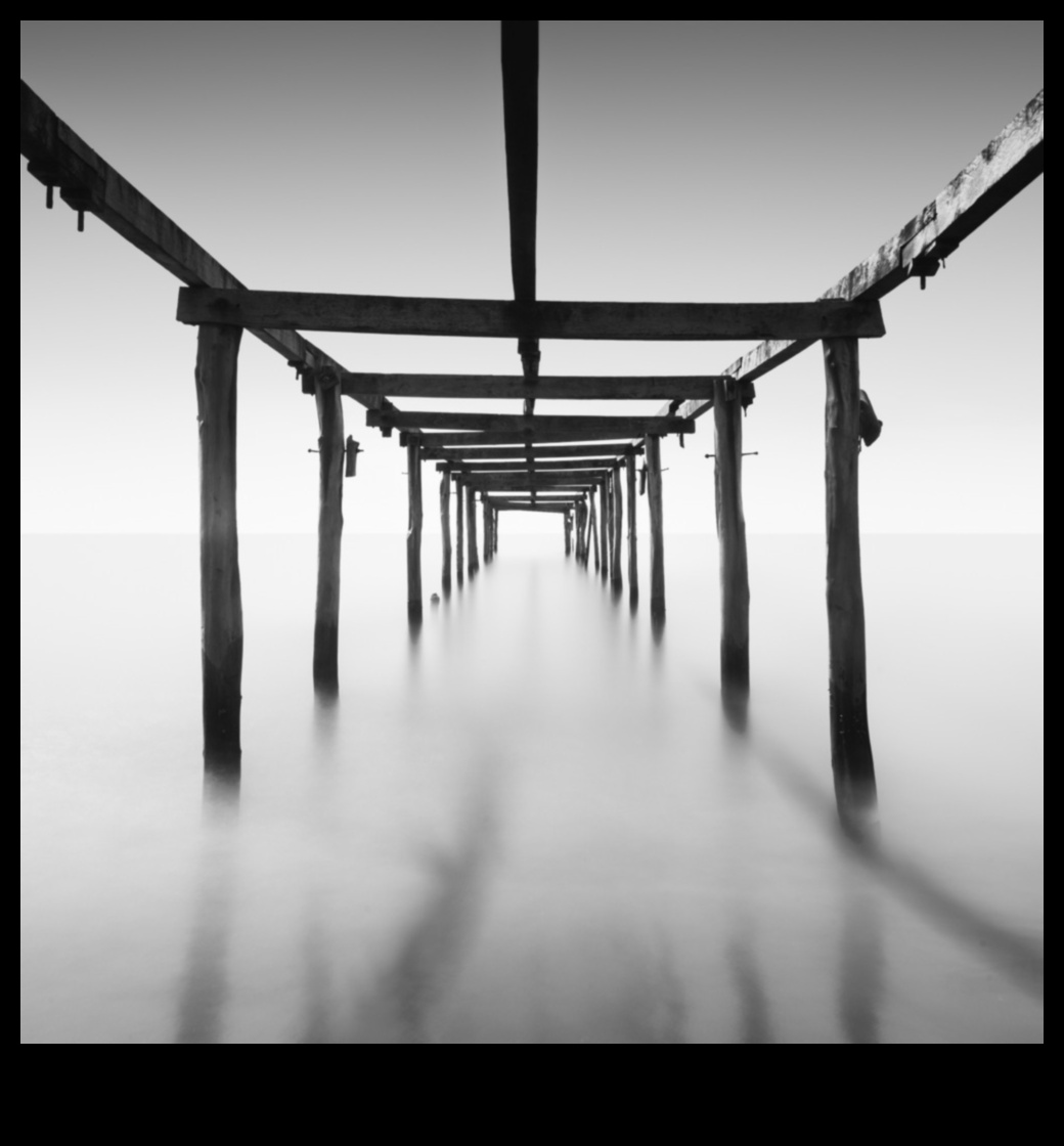 الأعجوبة البسيطة: أنماط التصوير الفوتوغرافي الجذابة في البساطة