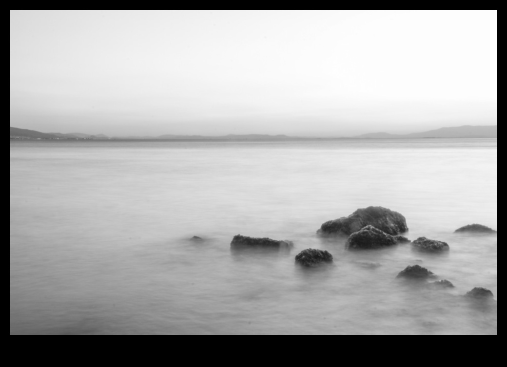 الأعجوبة البسيطة: أنماط التصوير الفوتوغرافي الجذابة في البساطة