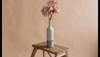 الأعجوبة البسيطة: أنماط التصوير الفوتوغرافي الجذابة في البساطة