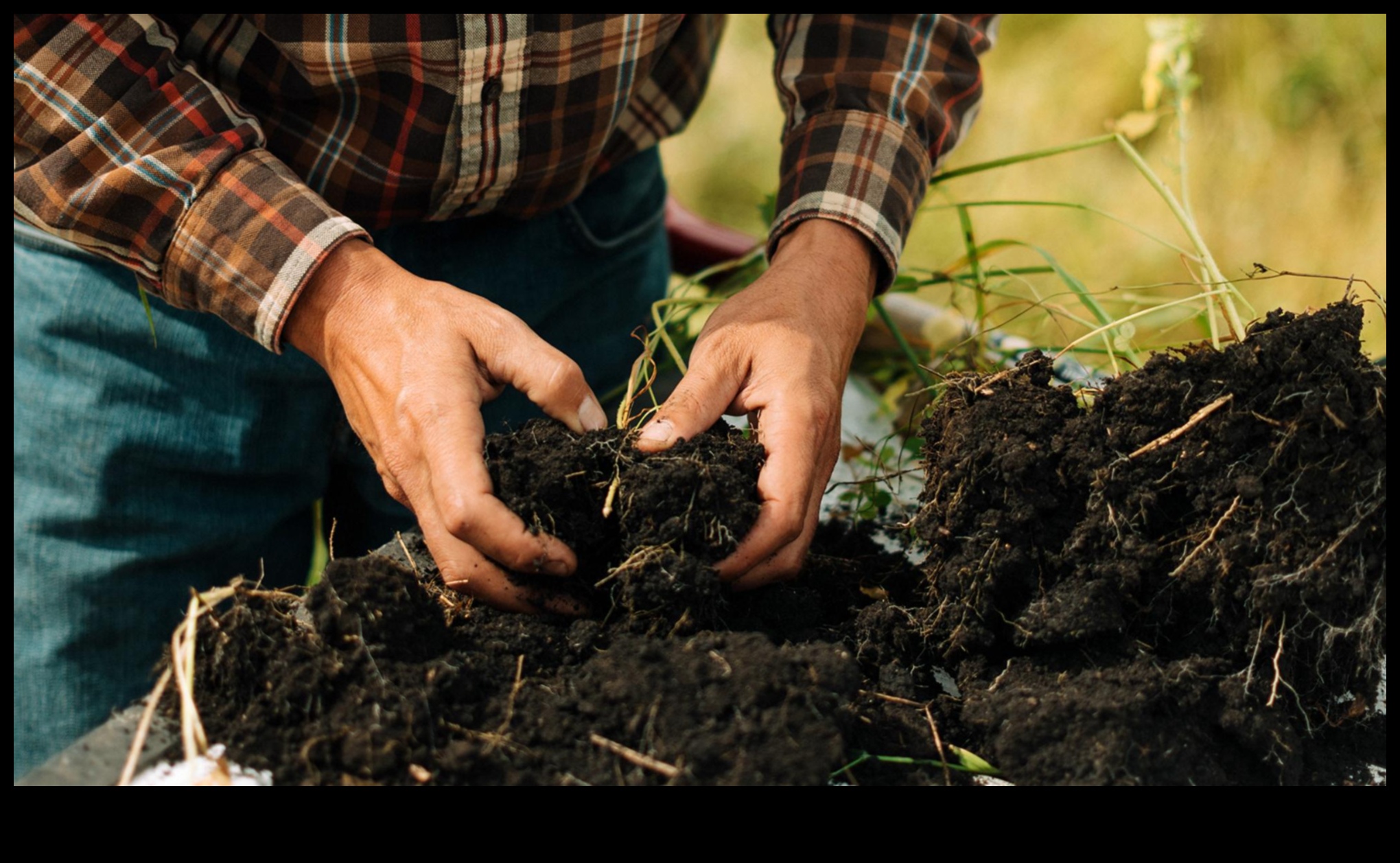 الطبيعة المغذية: استكشاف سحر البستنة العضوية