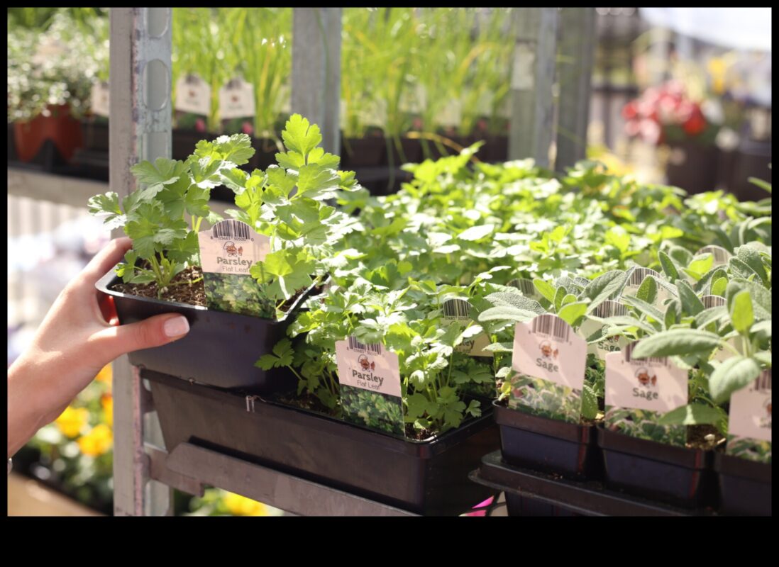 الطبيعة المغذية: استكشاف سحر البستنة العضوية