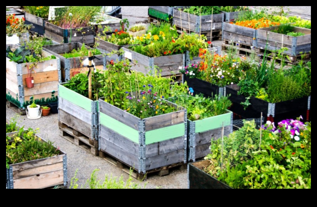 مدينة الخضر: أساسيات البستنة الحضرية للمبتدئين