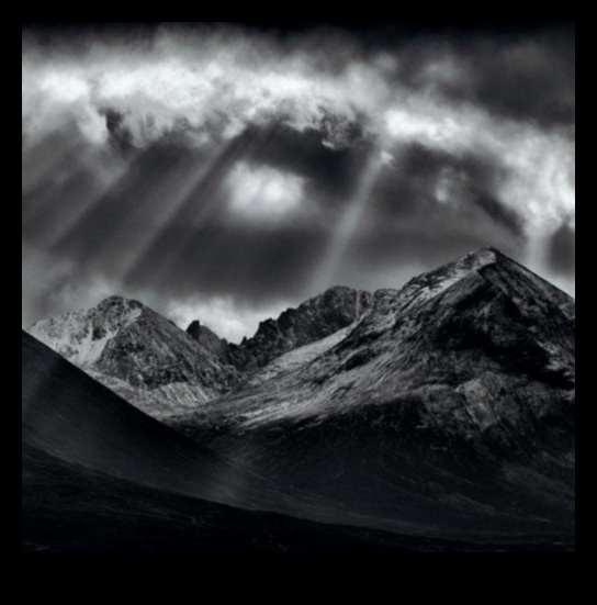 السحر أحادي اللون: إتقان فن الأسود والأبيض