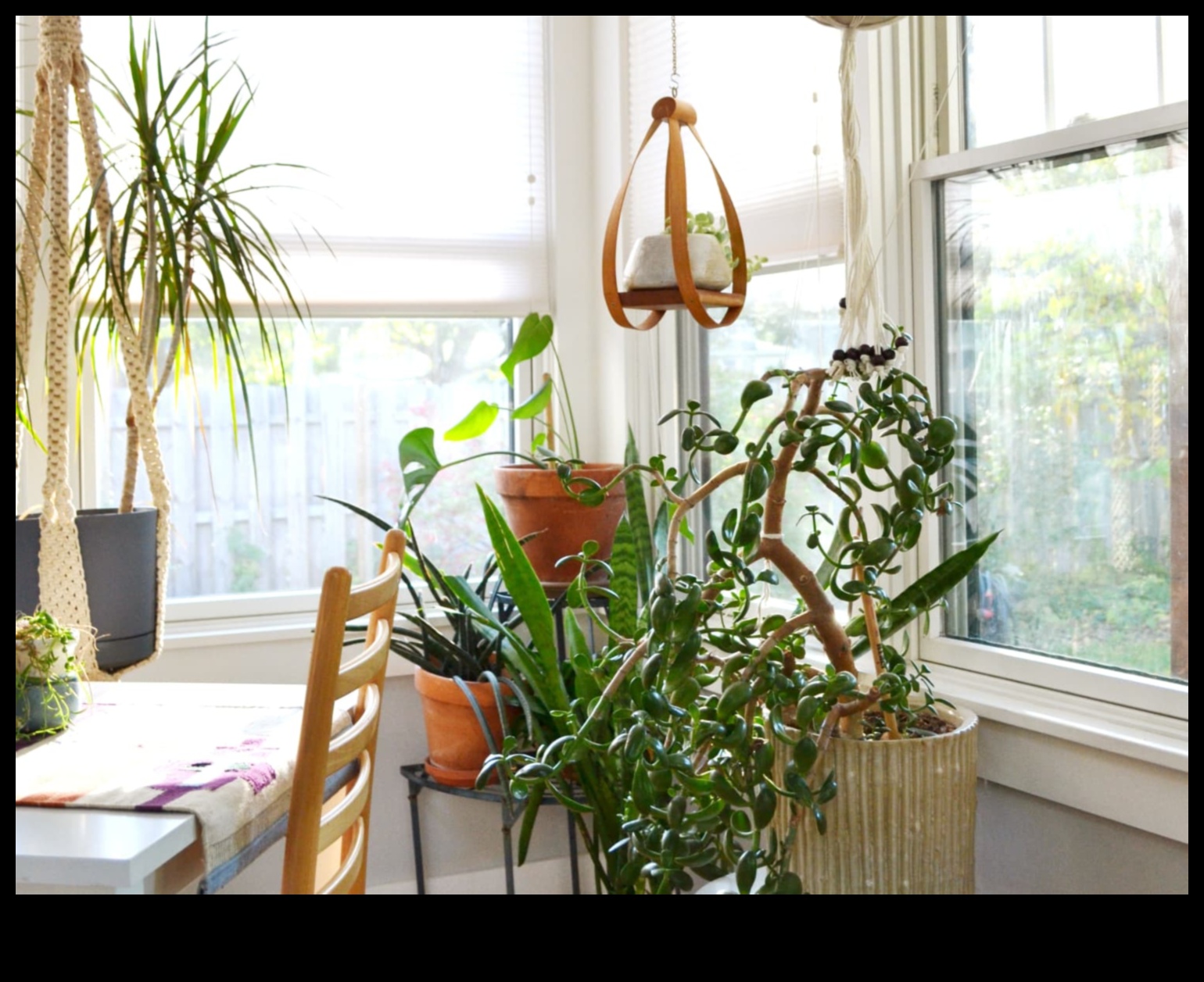 أحلام الغابة الداخلية: تصميم المساحات الخضراء المورقة في الداخل