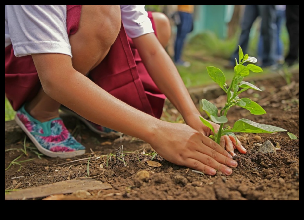 أكثر خضرة معًا: ممارسات تعاونية للعناية المثلى بالحدائق