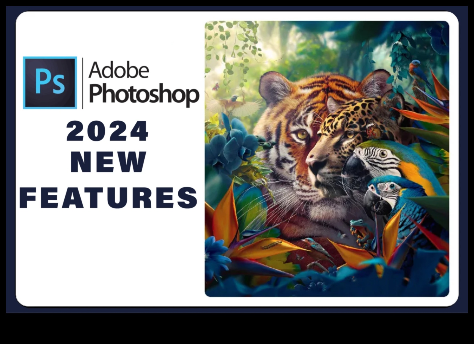 تألق التصميم: إتقان فن سحر الفوتوشوب